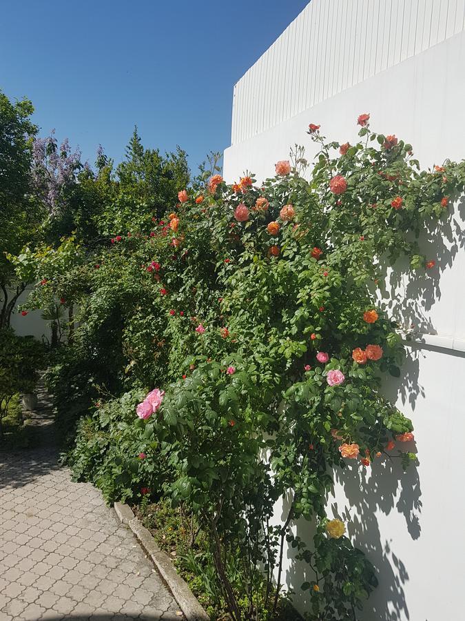 טביליסי Hotel Badagi מראה חיצוני תמונה