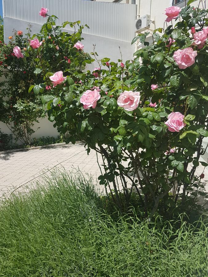 טביליסי Hotel Badagi מראה חיצוני תמונה